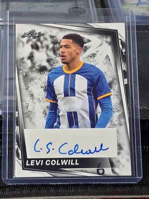 Levi Colwill
